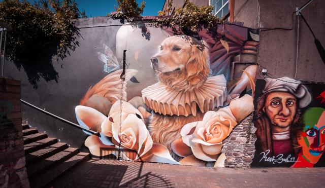 Waterford walls