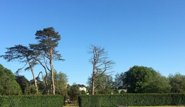 People's Park House of Waterford